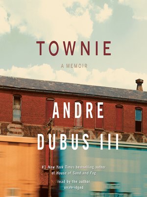 Townie - Audiobook